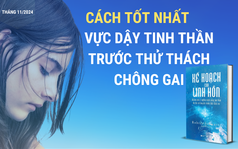 SÁCH KẾ HOẠCH CỦA LINH HỒN TÁC GIẢ ROBERT SCHWARTZ